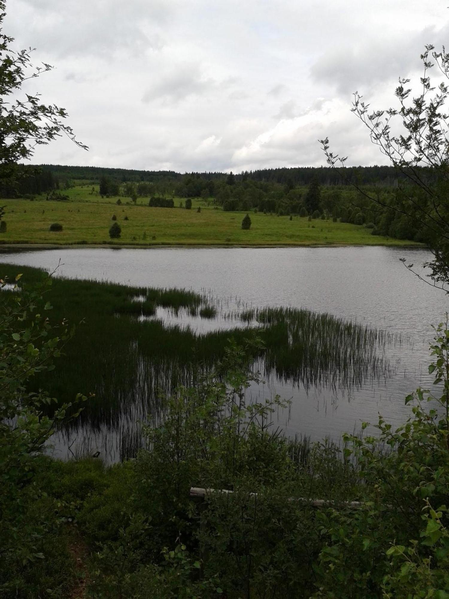 Ferienwohnung Monschauer Land Esterno foto