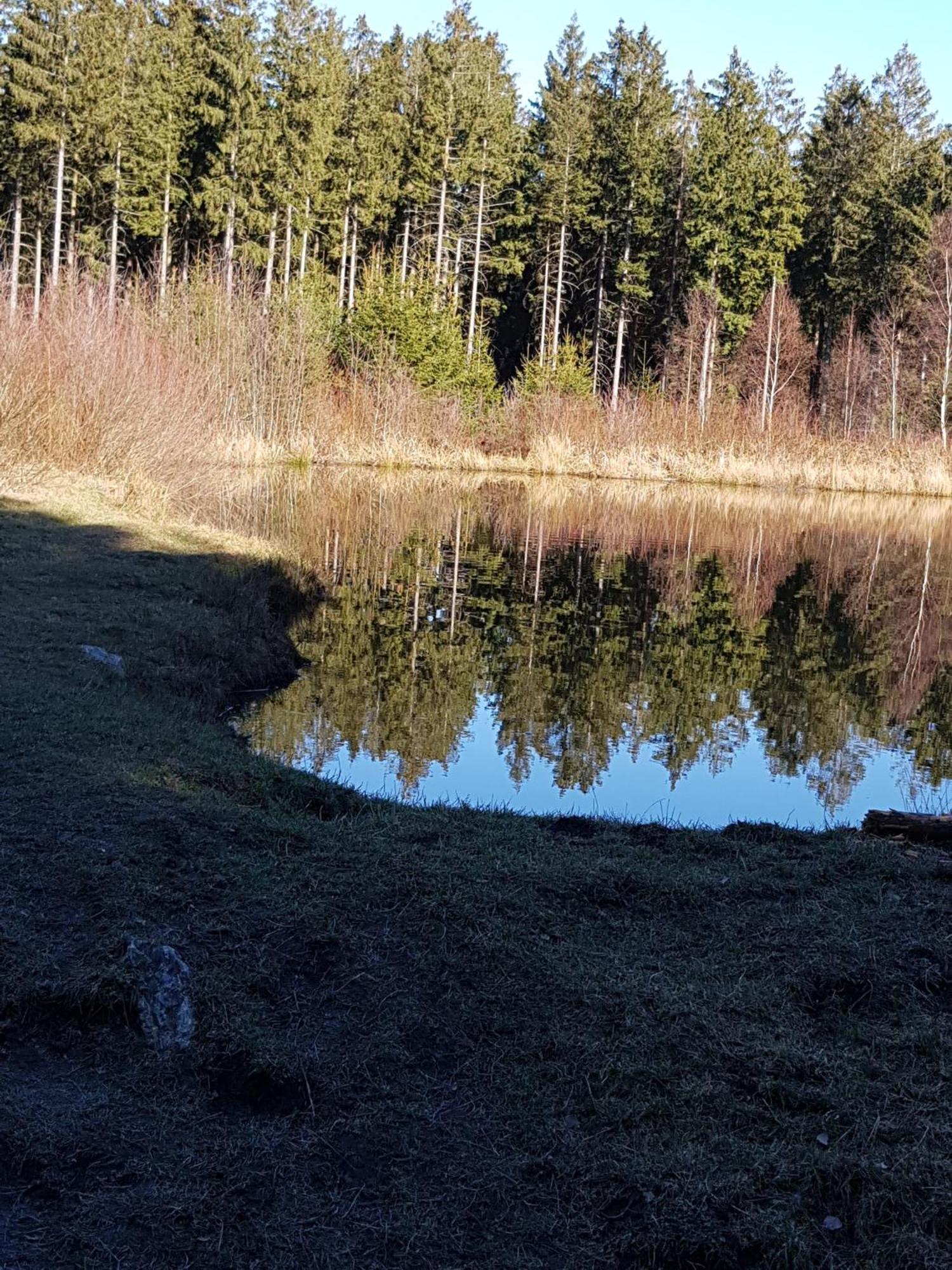 Ferienwohnung Monschauer Land Esterno foto